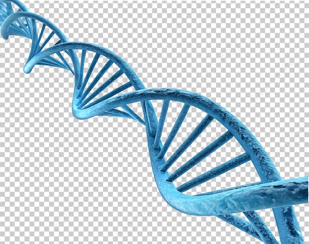 DNA cromosomico blu e gradualmente luminoso isolato su sfondo trasparente PNG e PSD