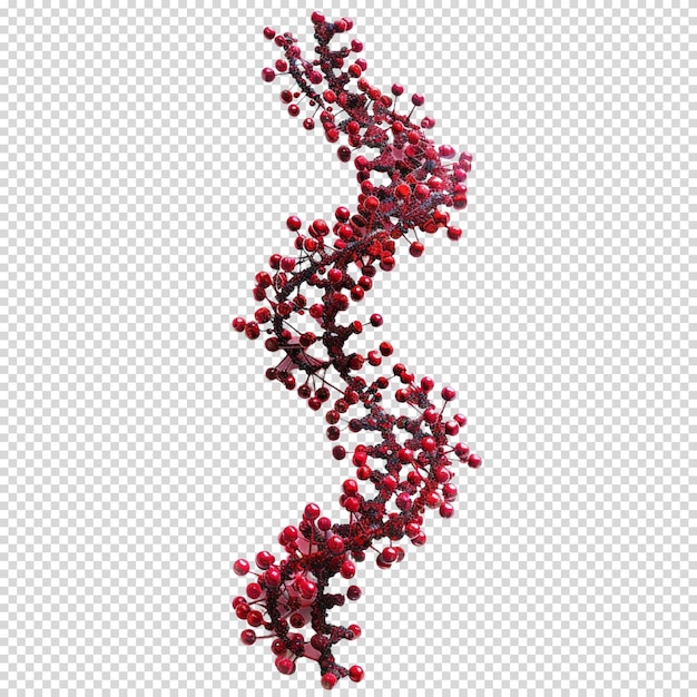 Dna isoliert auf durchsichtigem hintergrund