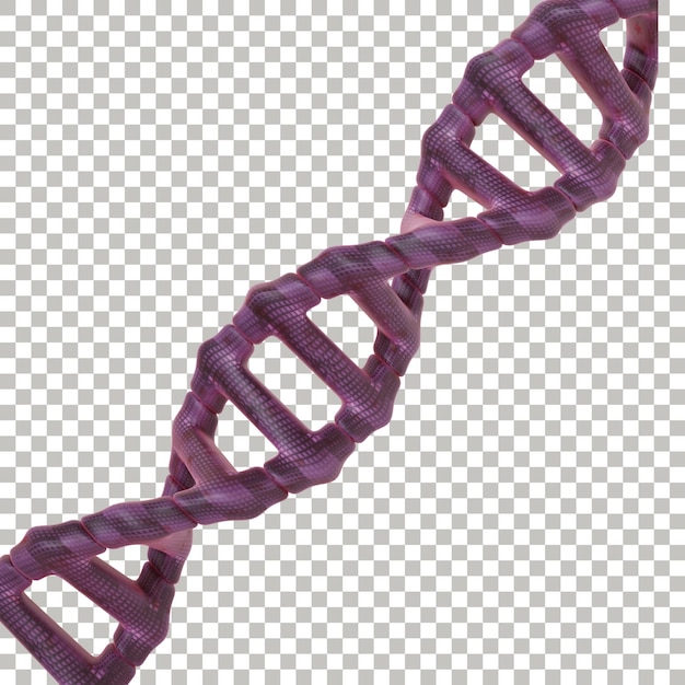 DNA-Kette
