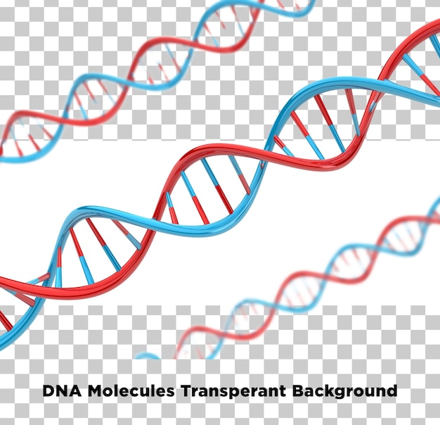 dna molecules 01