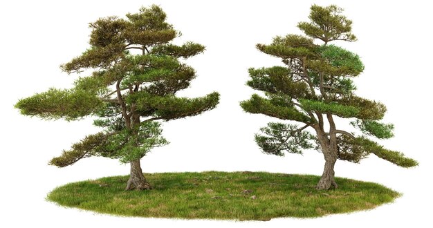 Dos árboles en miniatura con hojas verdes en la base de hierba modelo 3D render
