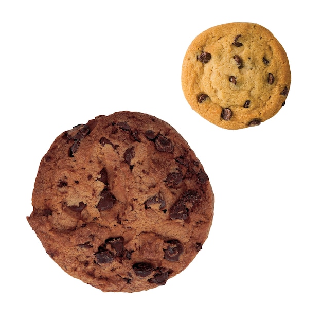 Dos deliciosas galletas de chocolate