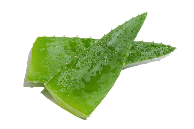 PSD dos hojas de aloe vera fresca verde sobre un fondo blanco.