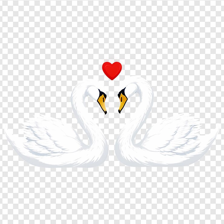 PSD dos palomas blancas con alas y un corazón con una pluma roja en la parte superior