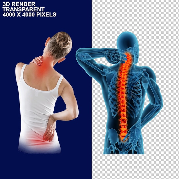 Douleurs articulaires Douleurs au dos Douleurs aux articulations Douleurs au cou Douleurs au genou Douleurs au haut du dos Au bas du dos Squelette cérébral