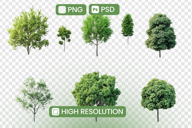 download highresolution png and psd images of lush green trees for design projects enhancing visual appeal with natures beauty ideal for landscaping and environmental concepts