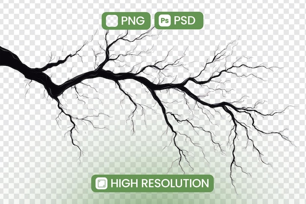 Download HighResolution PNG und PSD-Dateien eines nackten Baumzweigs Perfekt für Grafik-Design-Projekte und digitale Kunst Verbessern Sie die Visualität mit der Schönheit der Natur und fügen Sie einen Hauch von Winters Eleganz hinzu