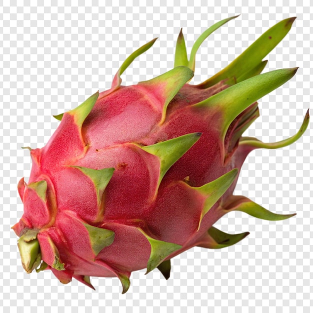 Drachenfrucht, isoliert auf durchsichtigem Hintergrund