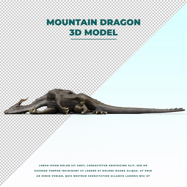 Dragón aislado