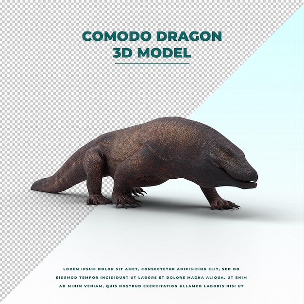 Dragón de Comodo aislado
