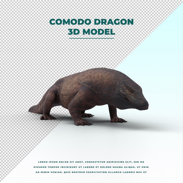 Dragón de Comodo aislado