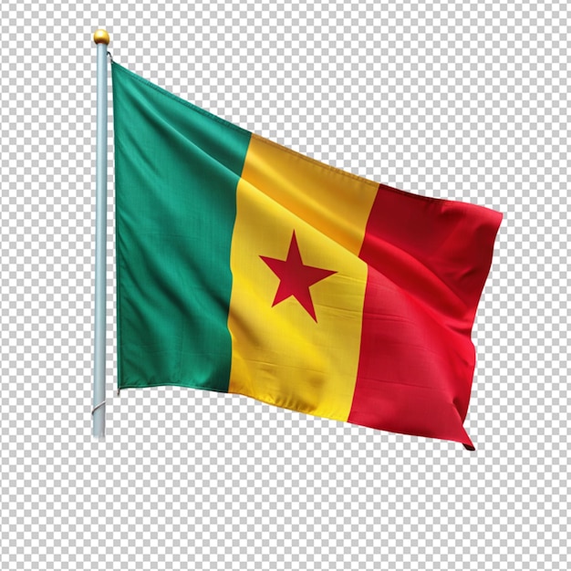 PSD drapeau du cameroun sur un fond transparent