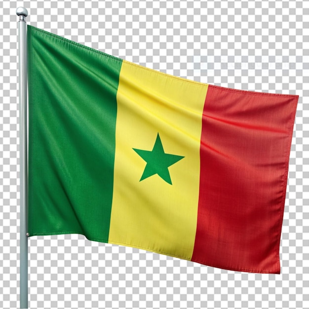 PSD drapeau du sénégal