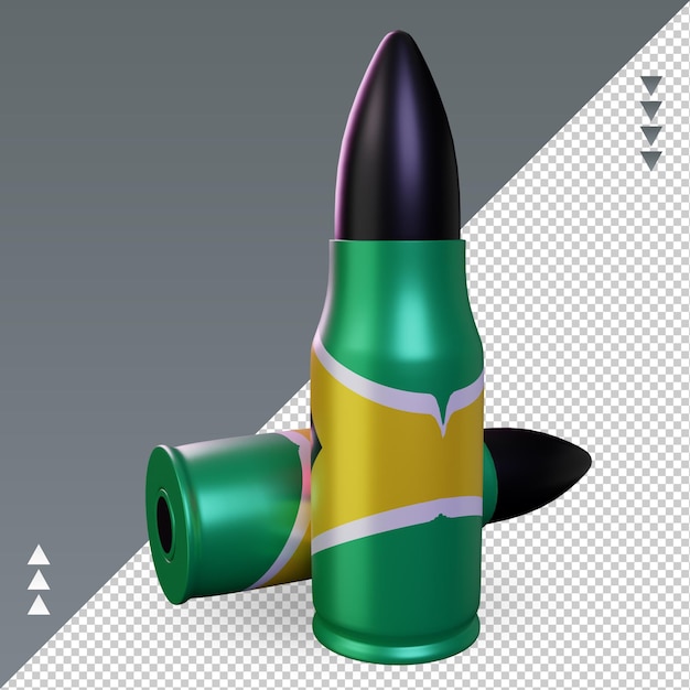 Drapeau de la Guyane 3d rendu vue droite