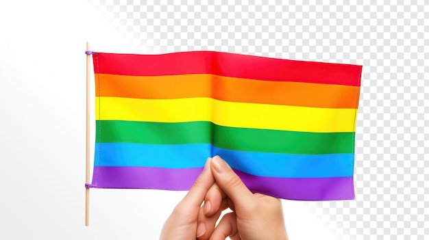 PSD le drapeau lgbt sur fond transparent