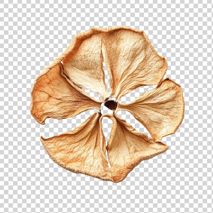 PSD dried slice of apple top view isolated on transparent background