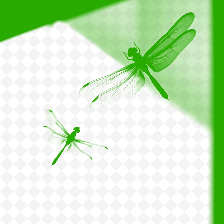 PSD duas libélulas estão voando sobre uma folha de papel com um fundo verde com um fundo branco