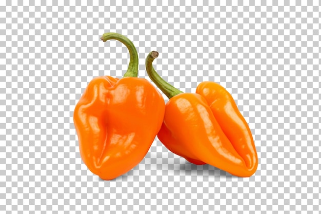 Due peperoni habanero arancioni isolati su sfondo trasparente png psd