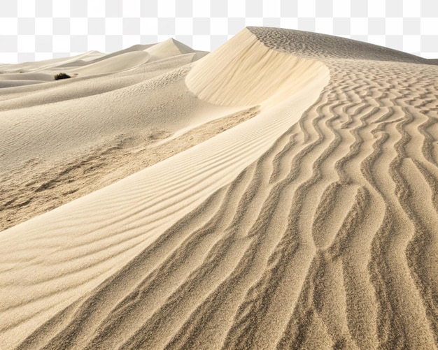 Duna de areia com padrões de ondulação na paisagem do deserto