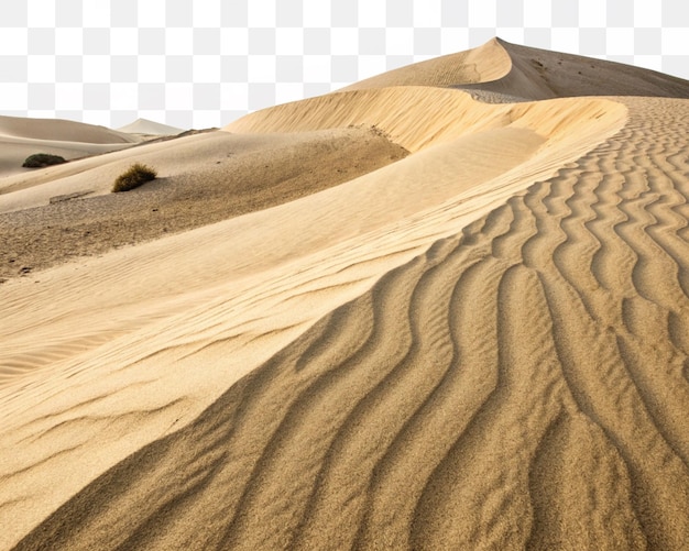Duna de areia com padrões de ondulação na paisagem do deserto