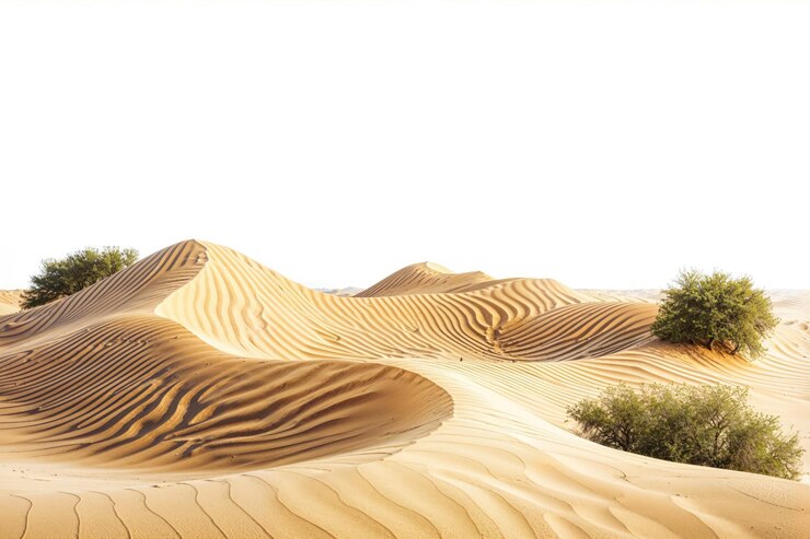 PSD una duna del desierto aislada sobre un fondo transparente dunas doradas