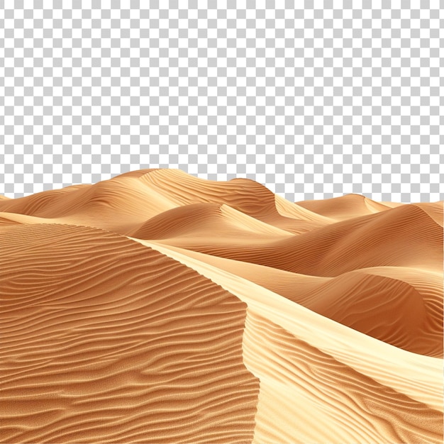 PSD une dune de sable avec une section transversale qui dit sable sur le fond