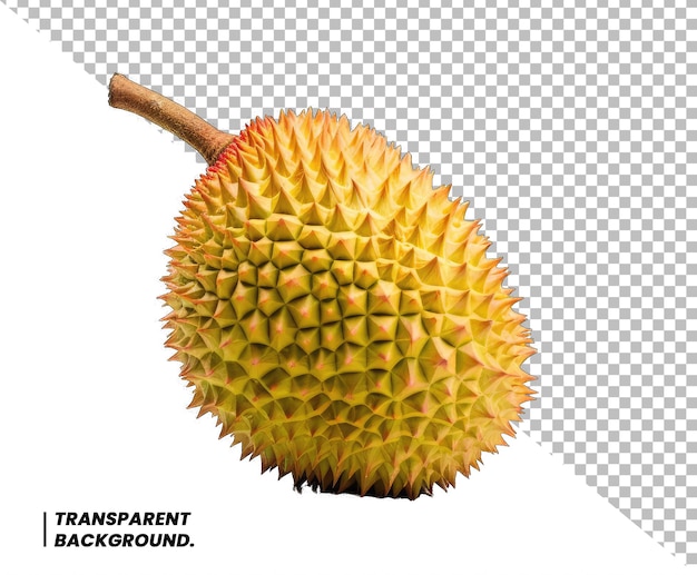 PSD durian em um isolado