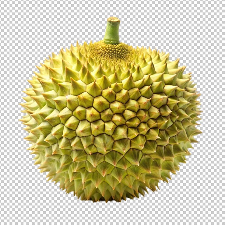 PSD un durian maduro y puntiagudo aislado sobre un fondo transparente