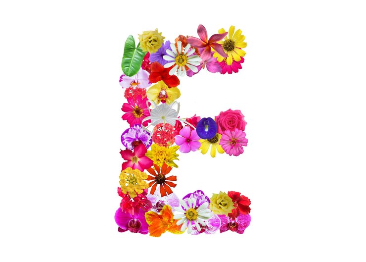 PSD e shape made of various kinds of flowers petals isolated on transparent background png
