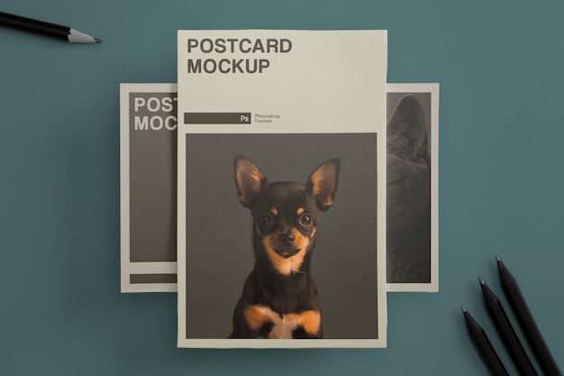 PSD echtes postkarten-mockup-design