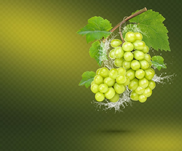 PSD Éclaboussure d'eau sur le raisin vert frais avec des feuilles isolées sur fond vert psd premium