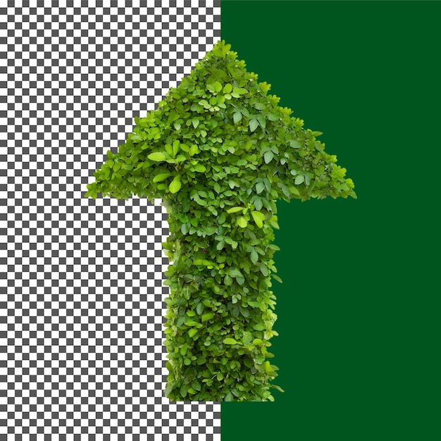 EcoFriendly Arrow Made of Green Leaves and Plants on transparent background png psd