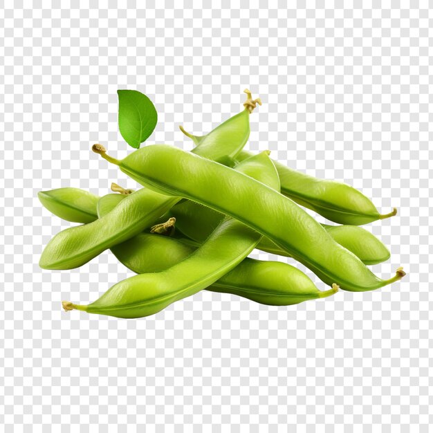 PSD edamame isolé sur un fond transparent