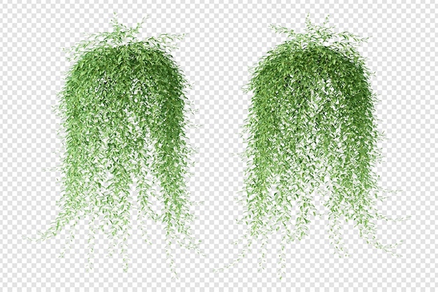 Edera isometrica nel rendering 3d