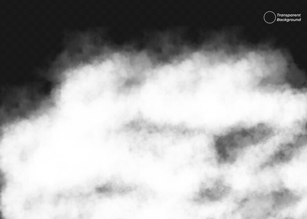 Efecto realista del humo y la niebla