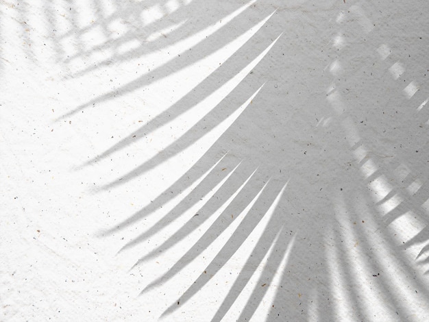 Efeito de sobreposição de sombras de folhas de palmeira realistas e abstratas no fundo da parede da praia