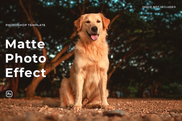 PSD efeito fotográfico fosco