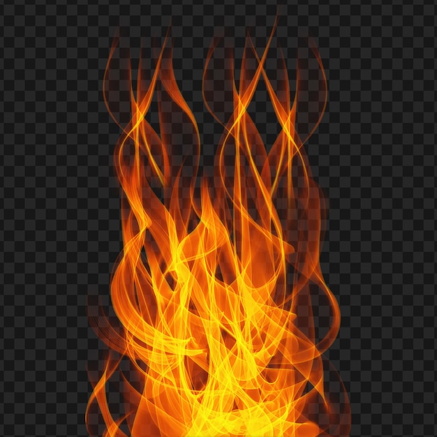 Efeito realista de chamas de fogo em fundo isolado