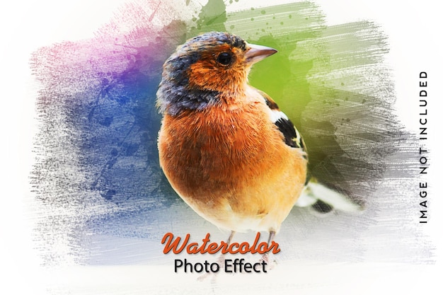 Effet de cadre photo pinceau aquarelle Photoshop Psd