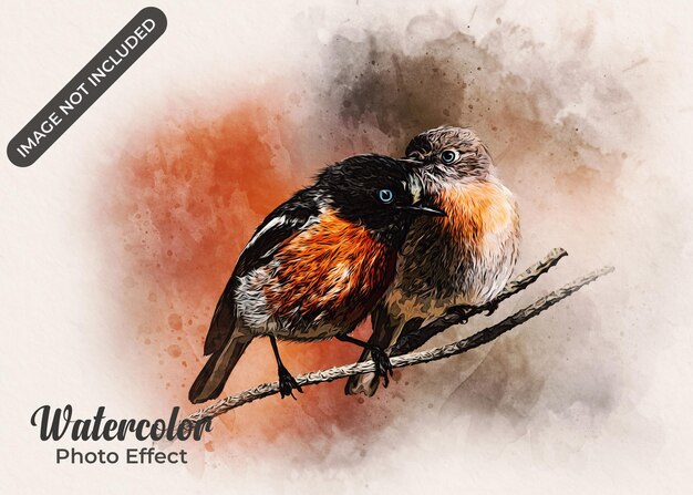 effet photo aquarelle
