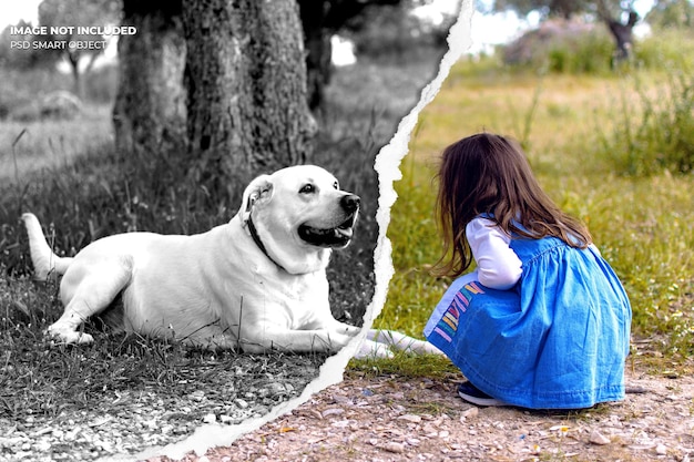 Effet photo de peinture déchirée