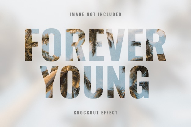 PSD effet photo de typographie knockout