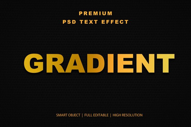 Effet de texte modifiable en gradient