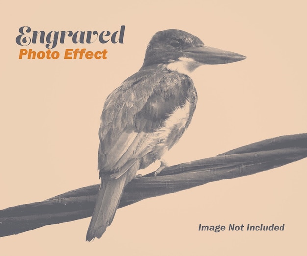 Effetto fotografico inciso