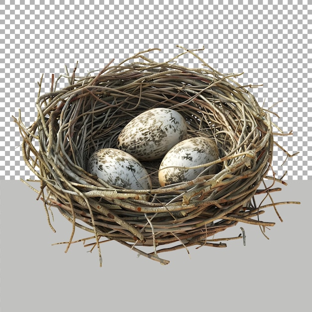 Eier in einem Nest auf durchsichtigem Hintergrund