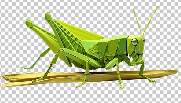 PSD ein 3d-grasshopper