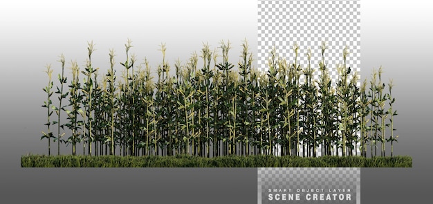 Ein 3D-Rendering-Bild von Mais auf grünem Grasfeld