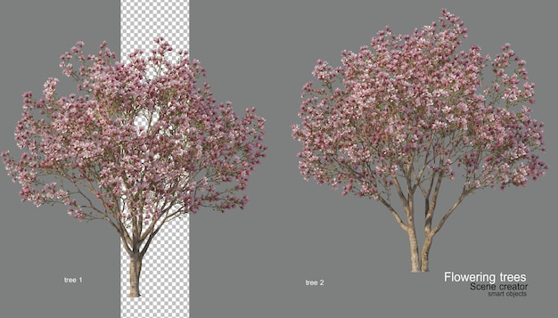 Ein Baum mit Blumen in verschiedenen Farben.