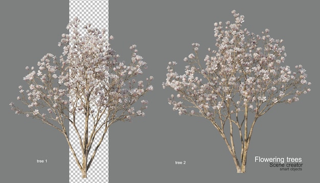 Ein Baum mit Blumen in verschiedenen Farben.