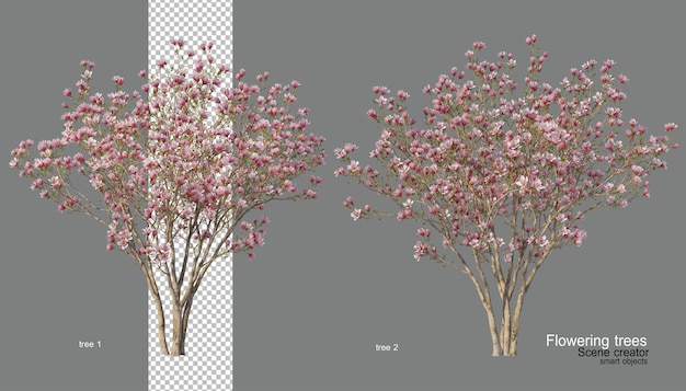 Ein Baum mit Blumen in verschiedenen Farben.